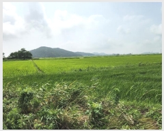  2024Ÿ��9107 ��õ ��ȭ�� ������ �簩�� 937-2      ����(����)���