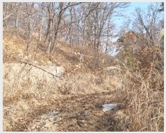  2024Ÿ506004 õ ȭ  渮 722-4      (Ӿ)