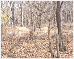  2024Ÿ506004 õ ȭ  渮 722-4      (Ӿ)