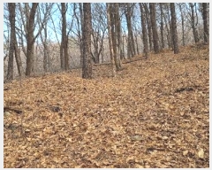  2024Ÿ506004 õ ȭ  渮 722-4      (Ӿ)