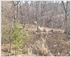  2024Ÿ506004 õ ȭ  渮 722-4      (Ӿ)