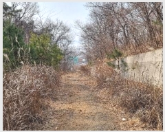  2024Ÿ506004 õ ȭ  渮 722-4      (Ӿ)