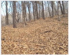  2024Ÿ506004 õ ȭ  渮 722-4      (Ӿ)