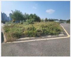  2024Ÿ��563182 ��õ �߱� ��� 1684-9       ����(����)���