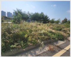  2024Ÿ��563182 ��õ �߱� ��� 1684-9       ����(����)���