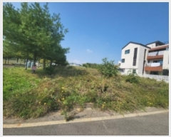  2024Ÿ��563182 ��õ �߱� ��� 1684-9       ����(����)���