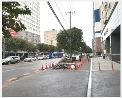  2024Ÿ565928 õ Ȧ η 98, 2205ȣ (ǵ,)     ټ,