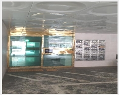  2024Ÿ566891 õ Ȧ 21 17, 2203ȣ      ǽڰ