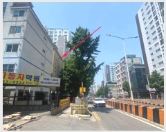  2024Ÿ534733 õ Ȧ ־ȷ 162, 2 5503ȣ (־ȵ,׶)    ټ,