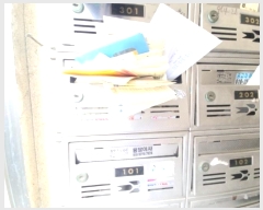  2024Ÿ539028 õ 籸 ֺ495 12, 2201ȣ (굿,ȭ)     ټ,