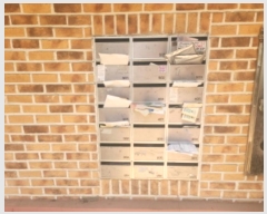  2024Ÿ��547715  �ټ���(����)���