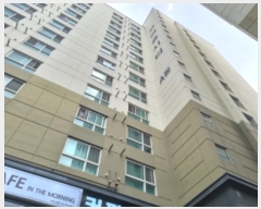  2024Ÿ549834 õ  226 17, ̵ 7710ȣ (,Ƽ)    Ȱð