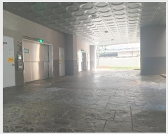  2024Ÿ559992 õ Ȧ ־߷16 7, 151507ȣ (־ȵ,׷̽Ÿ)     Ʈ