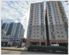  2024Ÿ568170 õ Ȧ ߷ 19, ̵ 4405ȣ (ǵ,ѸƮ)    ǽڰ