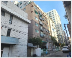  2024Ÿ575321 õ  õ176 5, 2204ȣ (,þ)     ǽڰ