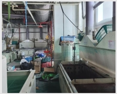  2024Ÿ2205 õ   14, 5516ȣ (,õǥóͰ嵿)     Ʈ