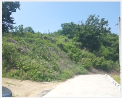  2024Ÿ5532 õ  ڿ ڿ 119-2      (Ӿ)