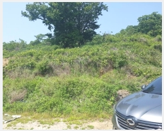  2024Ÿ5532 õ  ڿ ڿ 119-2      (Ӿ)