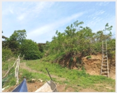  2024Ÿ5532 õ  ڿ ڿ 119-2      (Ӿ)