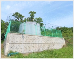  2024Ÿ5532 õ  ڿ ڿ 119-2      (Ӿ)