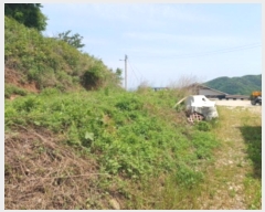  2024Ÿ5532 õ  ڿ ڿ 119-2      (Ӿ)