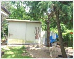  2024Ÿ��9121 ��õ ������ �ϵ��� �õ��� 204-1      ���ð��