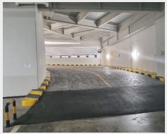  2024Ÿ��10770  ����Ʈ��������