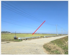  2024Ÿ��565218  ����