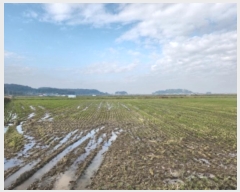  2024Ÿ��565218  ����