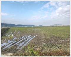  2024Ÿ��565218  ����