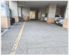  2024Ÿ��569913  ����Ʈ���