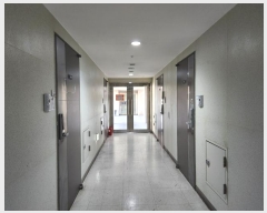  2024Ÿ576898 õ  236 30, 141426ȣ (,2ǪƼ)     ǽڰ