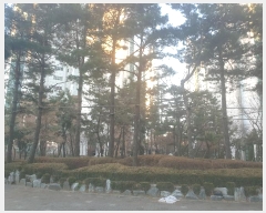  2024Ÿ��585038 ��õ ������ �����þƴ��42���� 20, 303�� 4��412ȣ (�۵���,�۵� �� ����� 2) ���ǽ��ڰ��