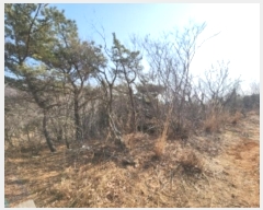  2024Ÿ��117 ��õ �߱� ���ǵ� 148-4       ����(�Ӿ�)���