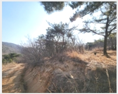  2024Ÿ��117 ��õ �߱� ���ǵ� 148-4       ����(�Ӿ�)���