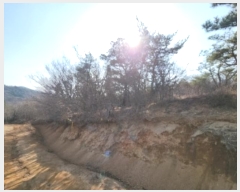  2024Ÿ��117 ��õ �߱� ���ǵ� 148-4       ����(�Ӿ�)���