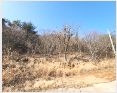  2024Ÿ��117 ��õ �߱� ���ǵ� 148-4       ����(�Ӿ�)���