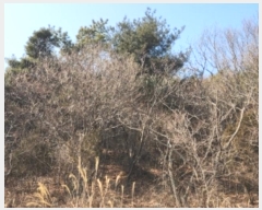  2024Ÿ��117 ��õ �߱� ���ǵ� 148-4       ����(�Ӿ�)���