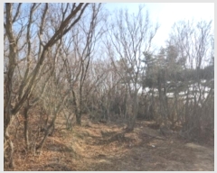  2024Ÿ��117 ��õ �߱� ���ǵ� 148-4       ����(�Ӿ�)���