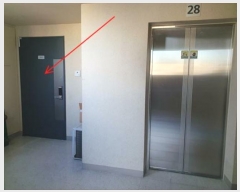  2024Ÿ��278  ����Ʈ���