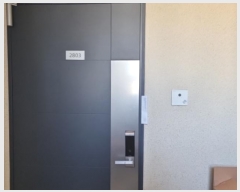  2024Ÿ��278  ����Ʈ���