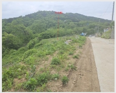  2024Ÿ��5549  �Ӿ߰��