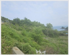  2024Ÿ��5549  �Ӿ߰��