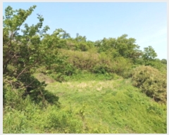  2024Ÿ��5549  �Ӿ߰��