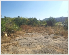  2024Ÿ��13885 ��õ �߱� ��� 3053-9       ����(����)���