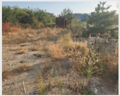  2024Ÿ��13885 ��õ �߱� ��� 3053-9       ����(����)���