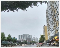  2024Ÿ��14024  ����Ʈ���