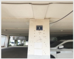  2024Ÿ��546750  �ټ���(����)���