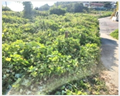  2024Ÿ563588 õ ȭ ȭ  923-27      (Ӿ)