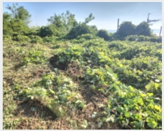  2024Ÿ563588 õ ȭ ȭ  923-27      (Ӿ)